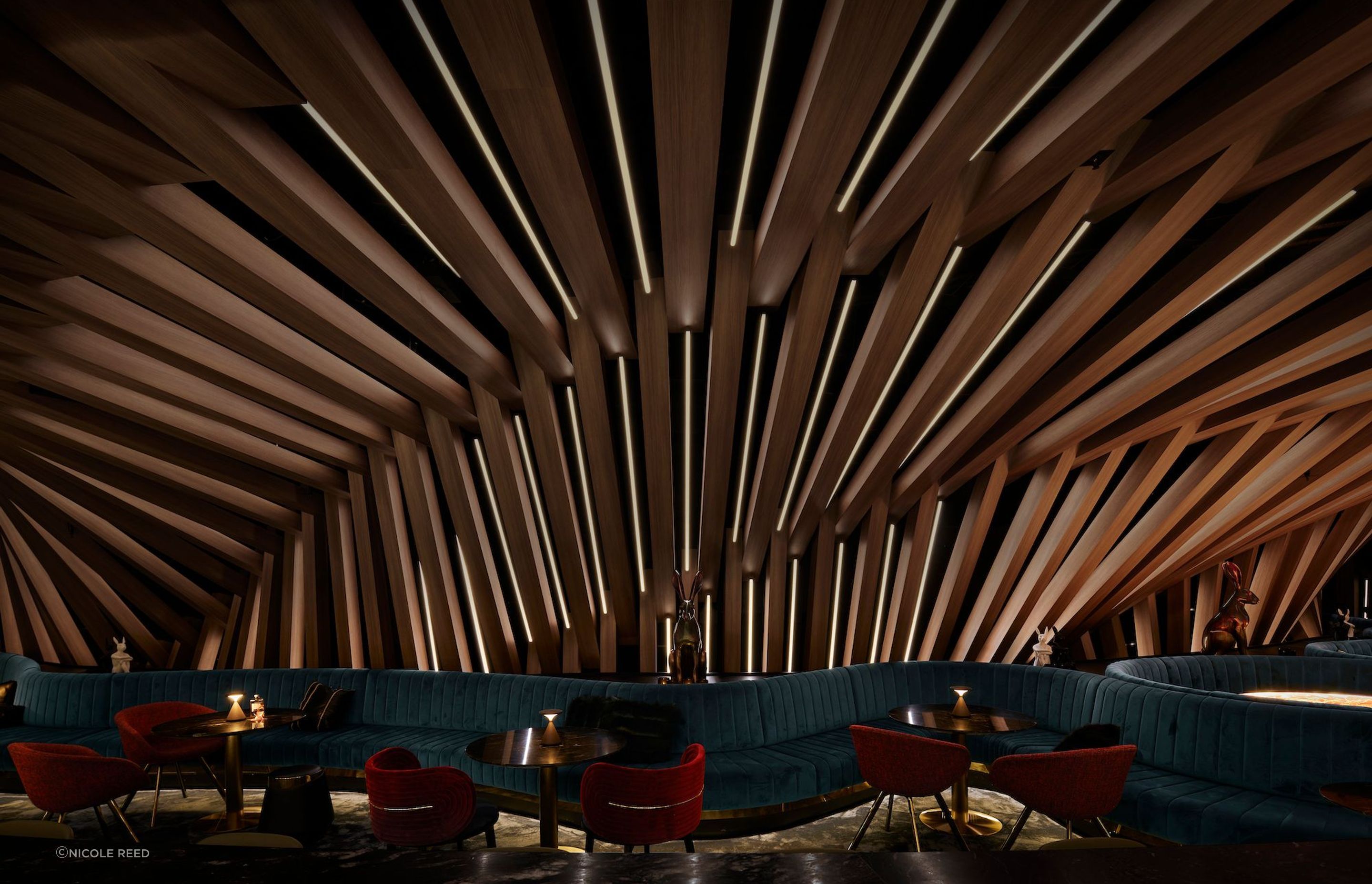 Curious Bar