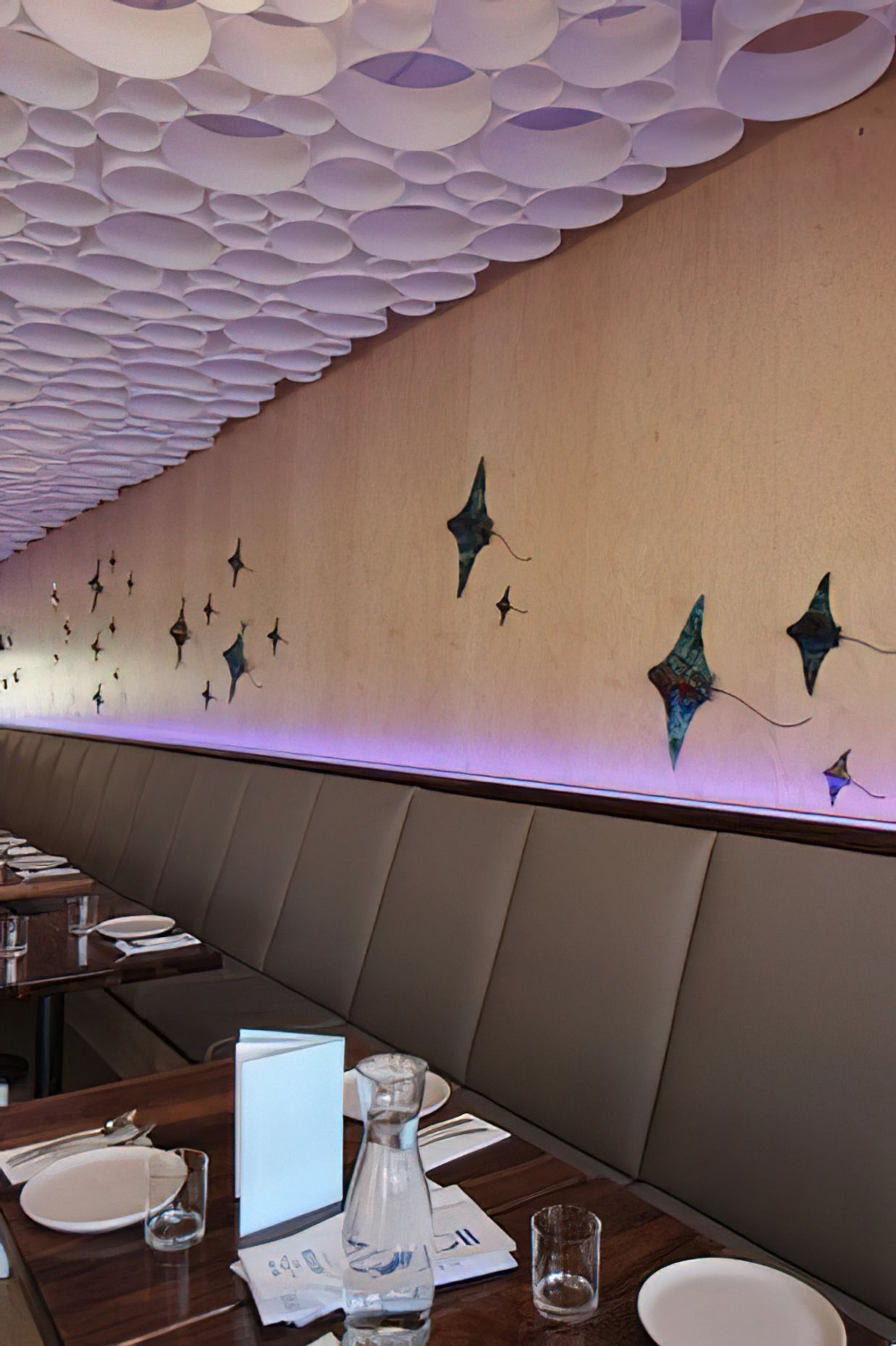 Modern Thai | Auckland