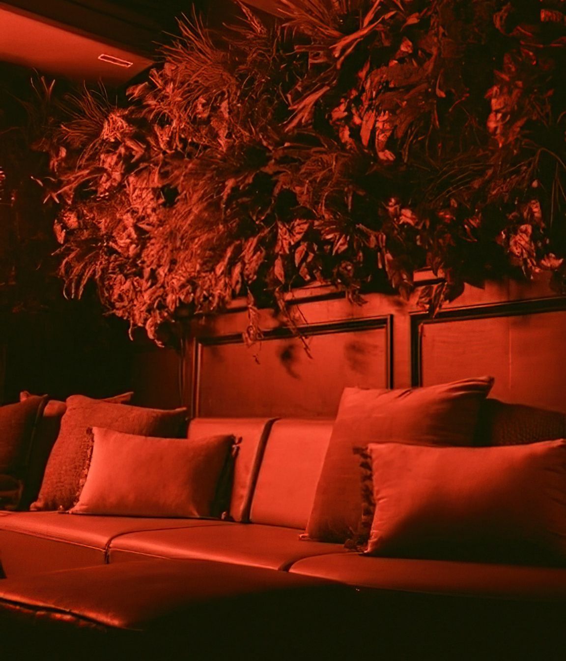 The Cellar Bar