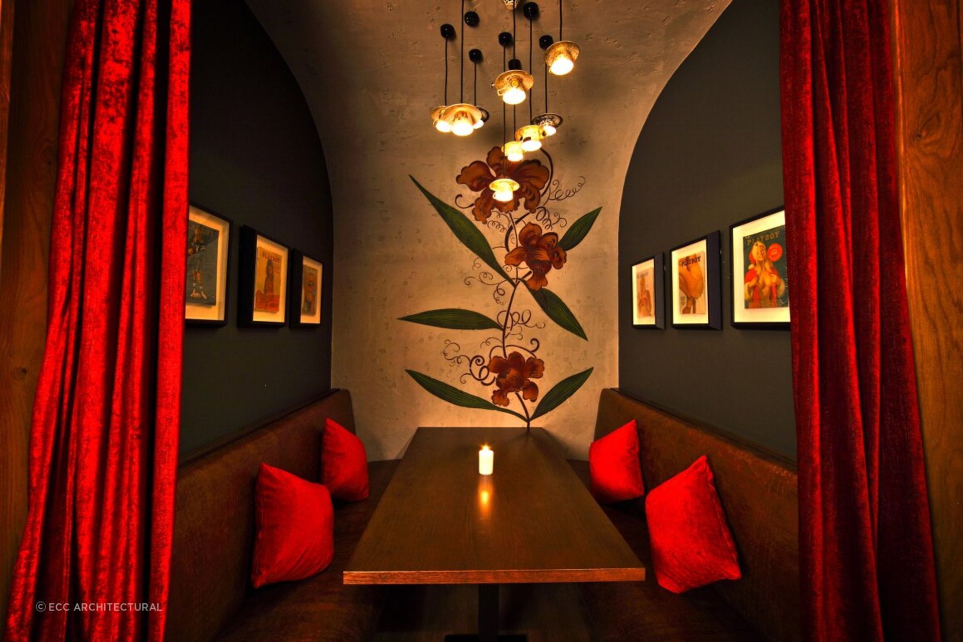 Red Hummingbird, Auckland