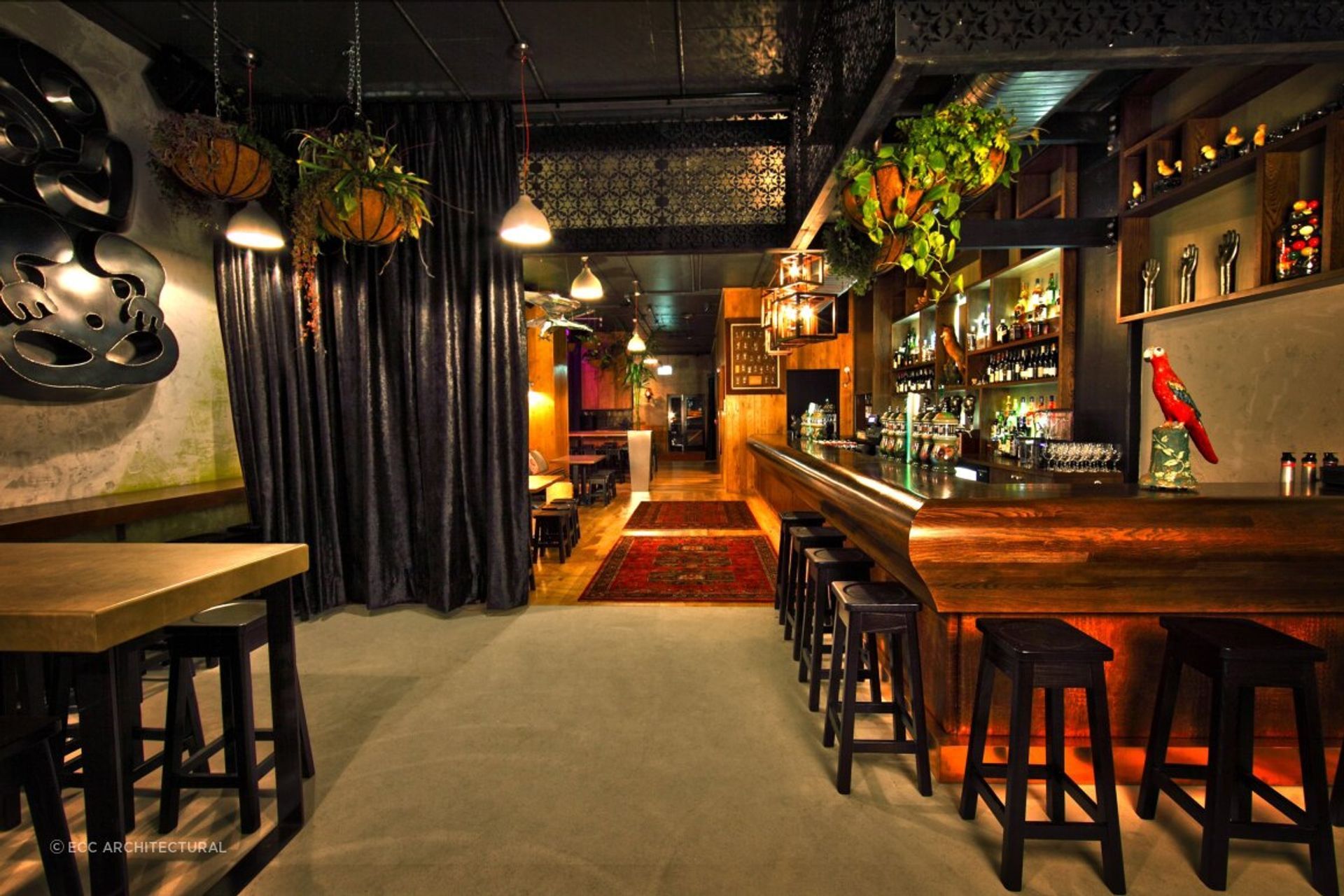 Red Hummingbird, Auckland