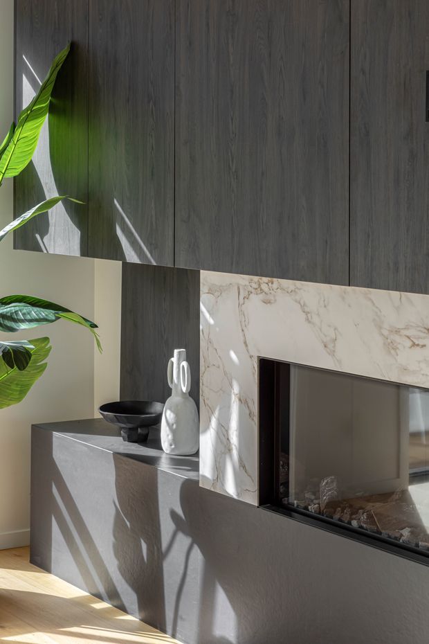 A contemporary interior feature wall with dark vertical timber cabinetry or panelling above a sculptural grey fireplace surround. The fireplace is framed in veined white marble, with a black inset firebox and stone media. A dark stone or concrete-like ledge holds minimalist ceramic objects, while large leafy plants and strong natural sunlight add organic contrast. Light timber flooring is visible at the base.