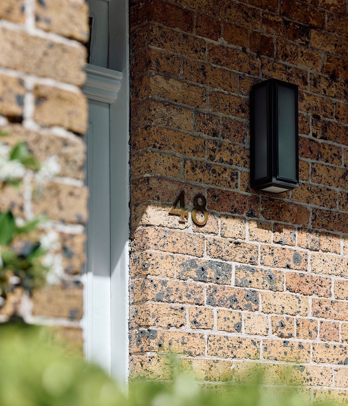 20241022-Modify-Homes-x-48-Cameron-St-Edgecliff-TWholohan5.jpg