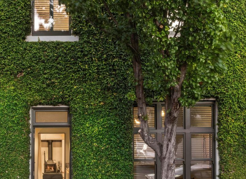 Vine House