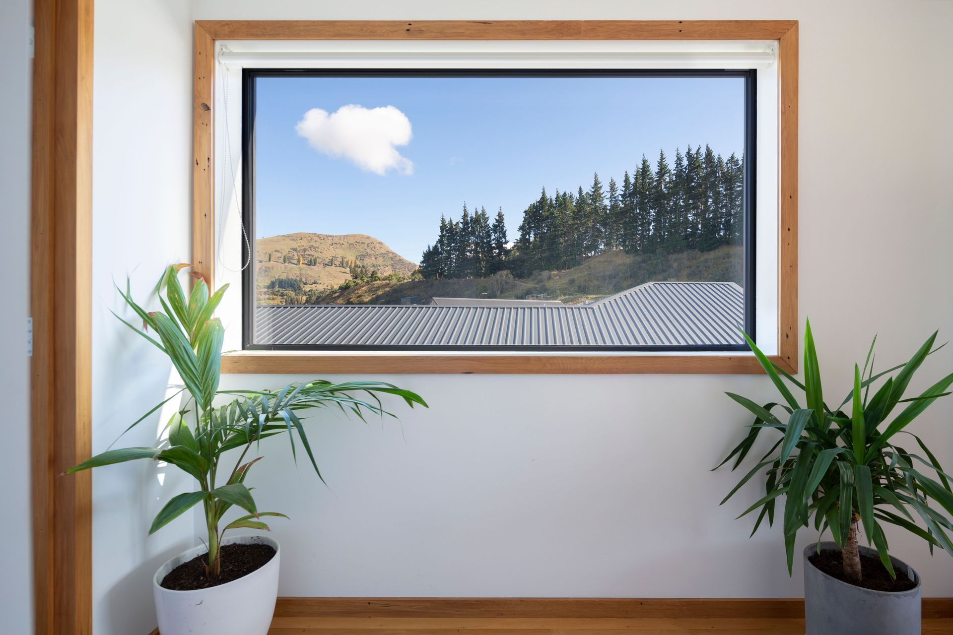 Shotover Country | Residential Property