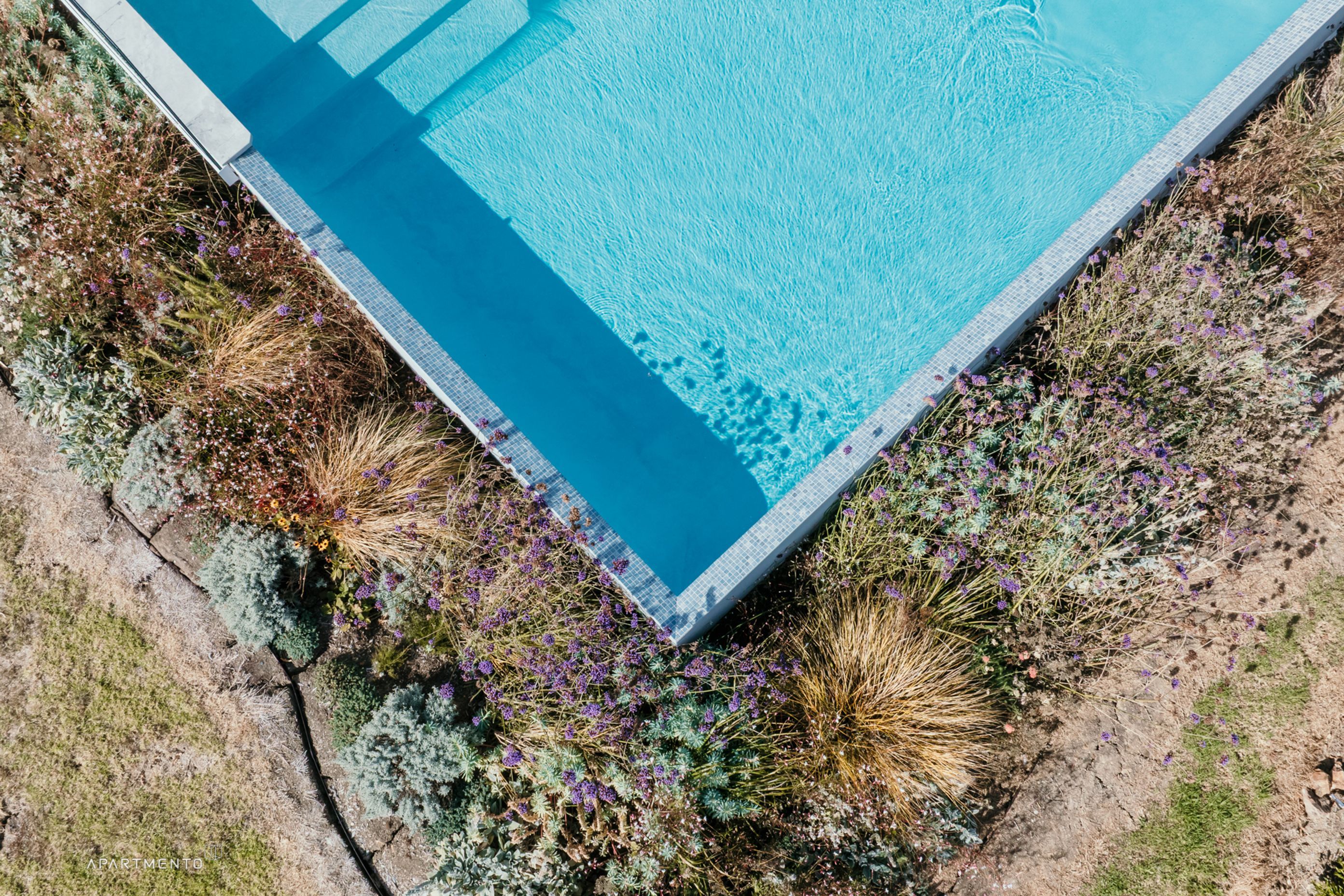 AMArchitectsWaihekeMCrawford-2183.jpg