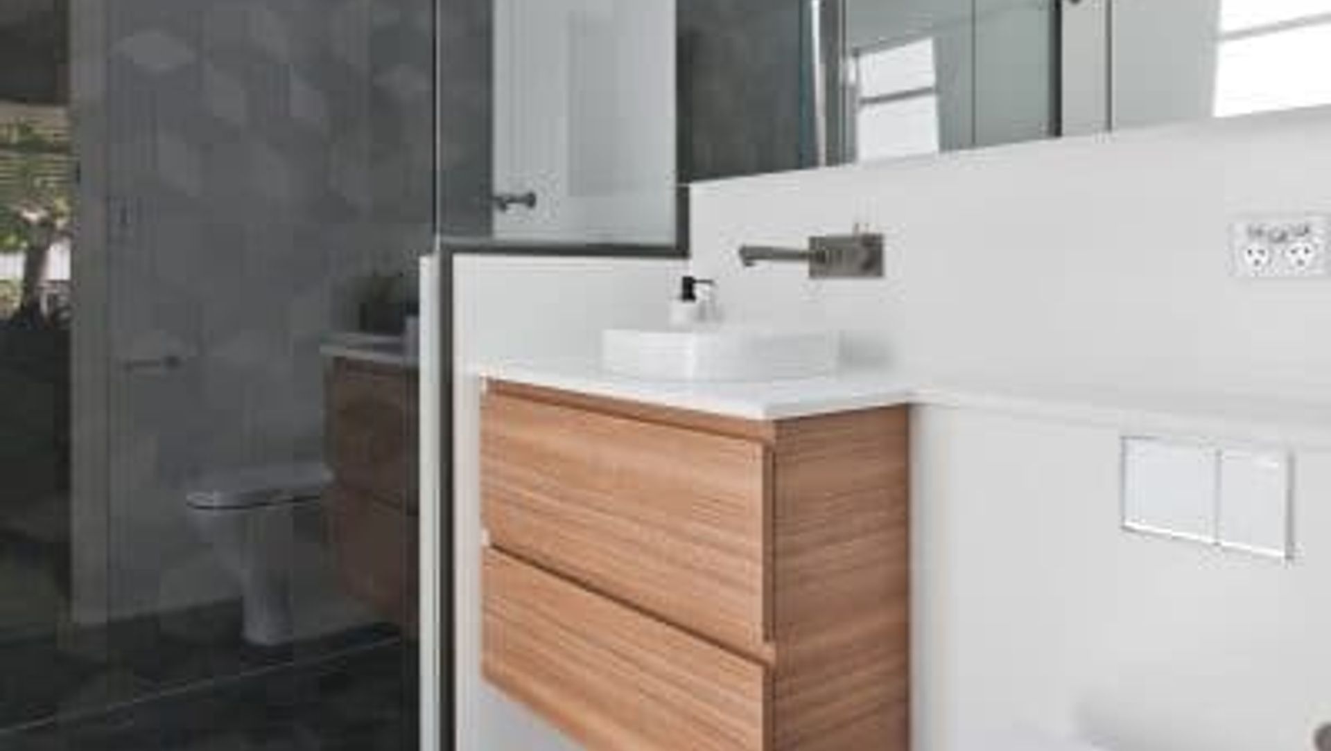 Dianella banner