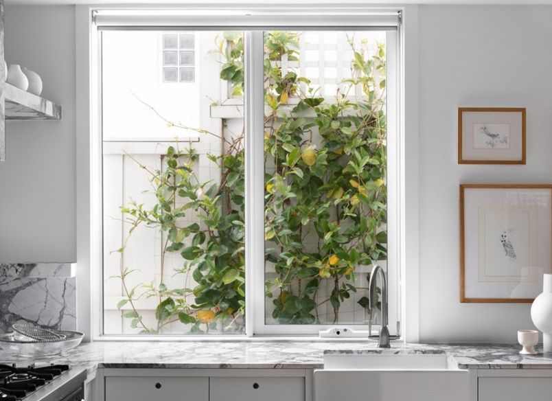 Brighton Home