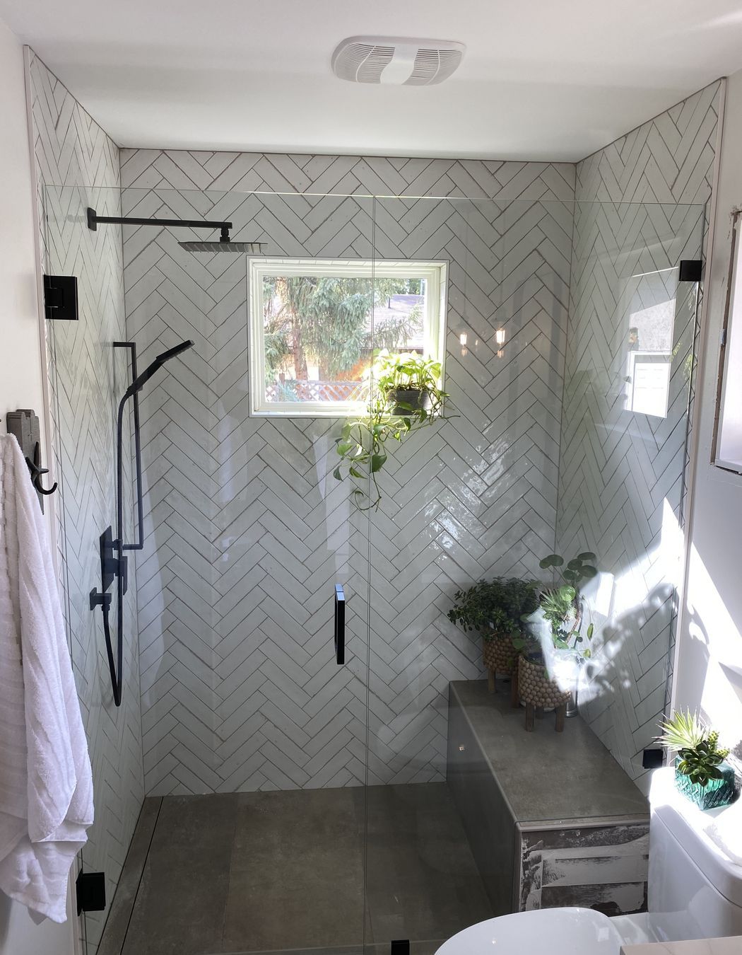 Frameless Glass Showers