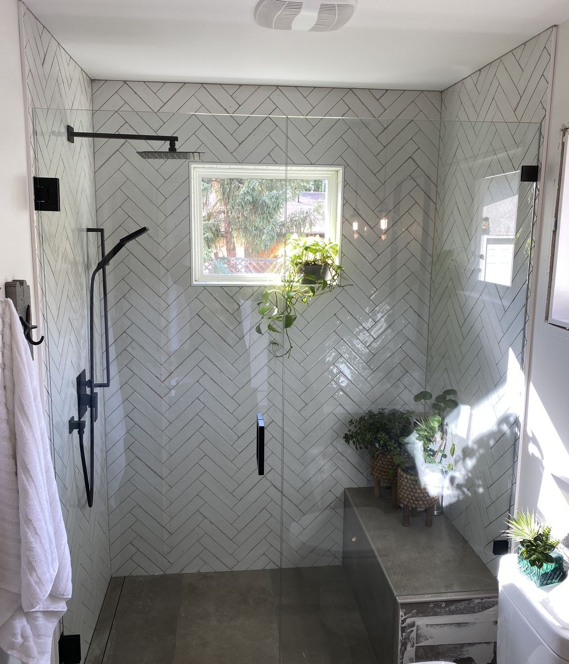 Frameless Glass Showers
