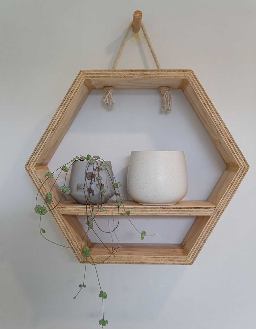 A custom made birch ply hex shelf.