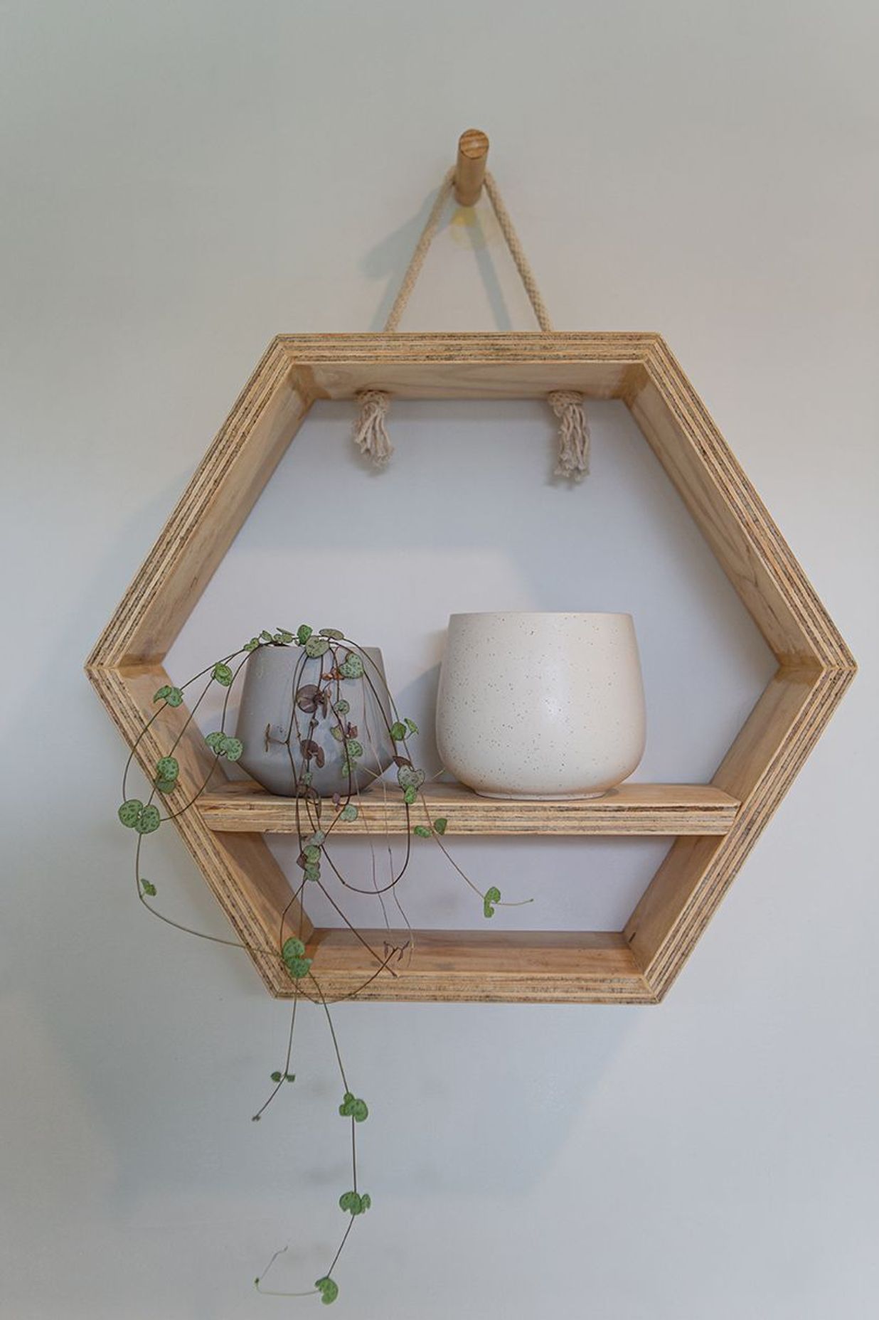 A custom made birch ply hex shelf.