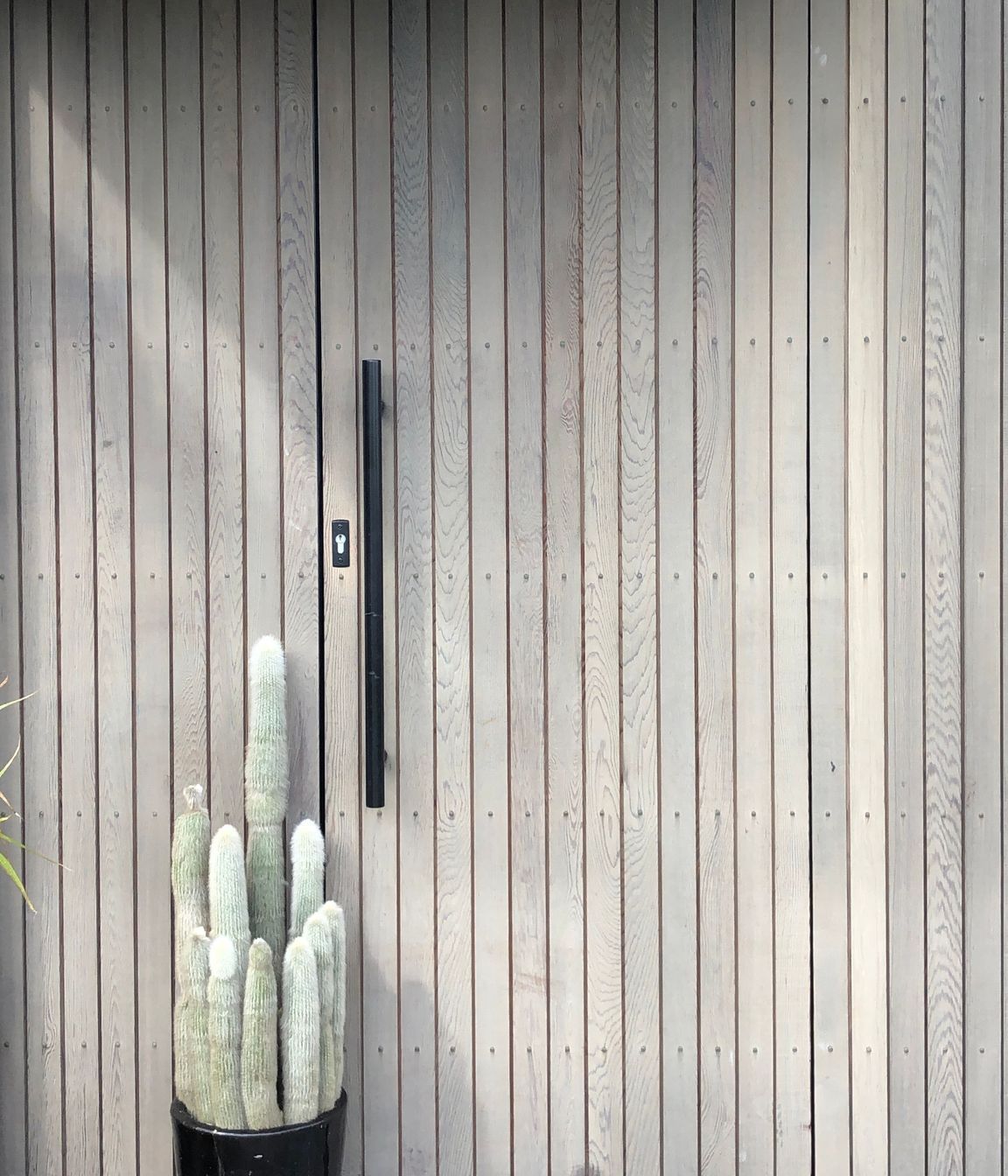 Cedar Front Door