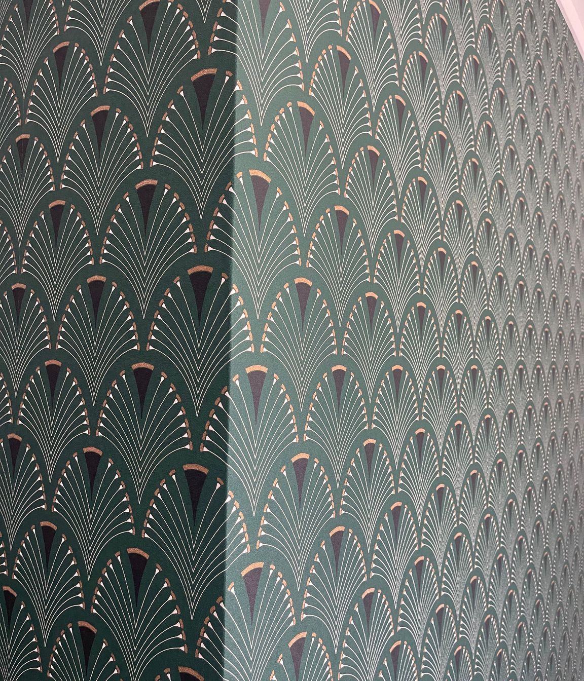 IMG0887-2.jpeg