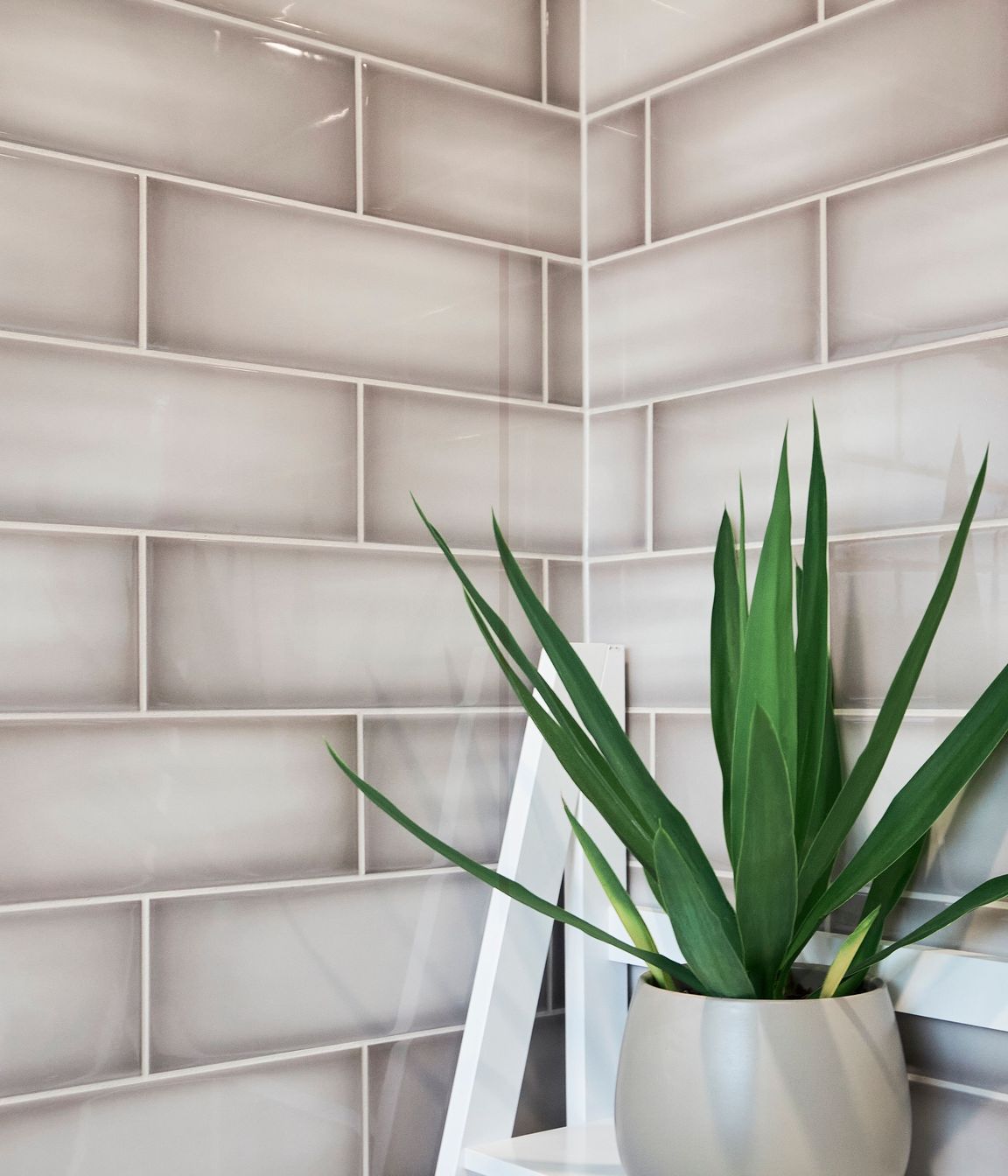 Gordon Bathroom + Ensuite Renovation