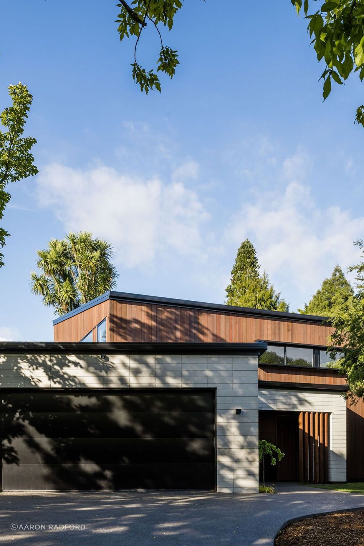 Seddon House - Timber Veneers