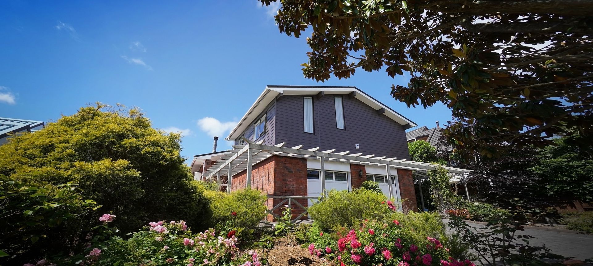 Full Home Renovation of a Dated Home banner
