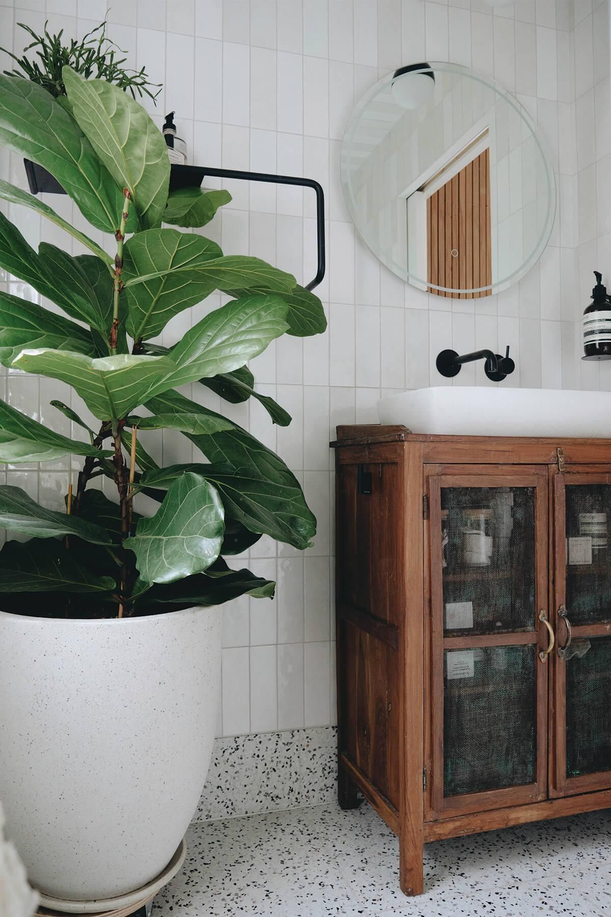 The Forest Cantina En-Suite Reveal