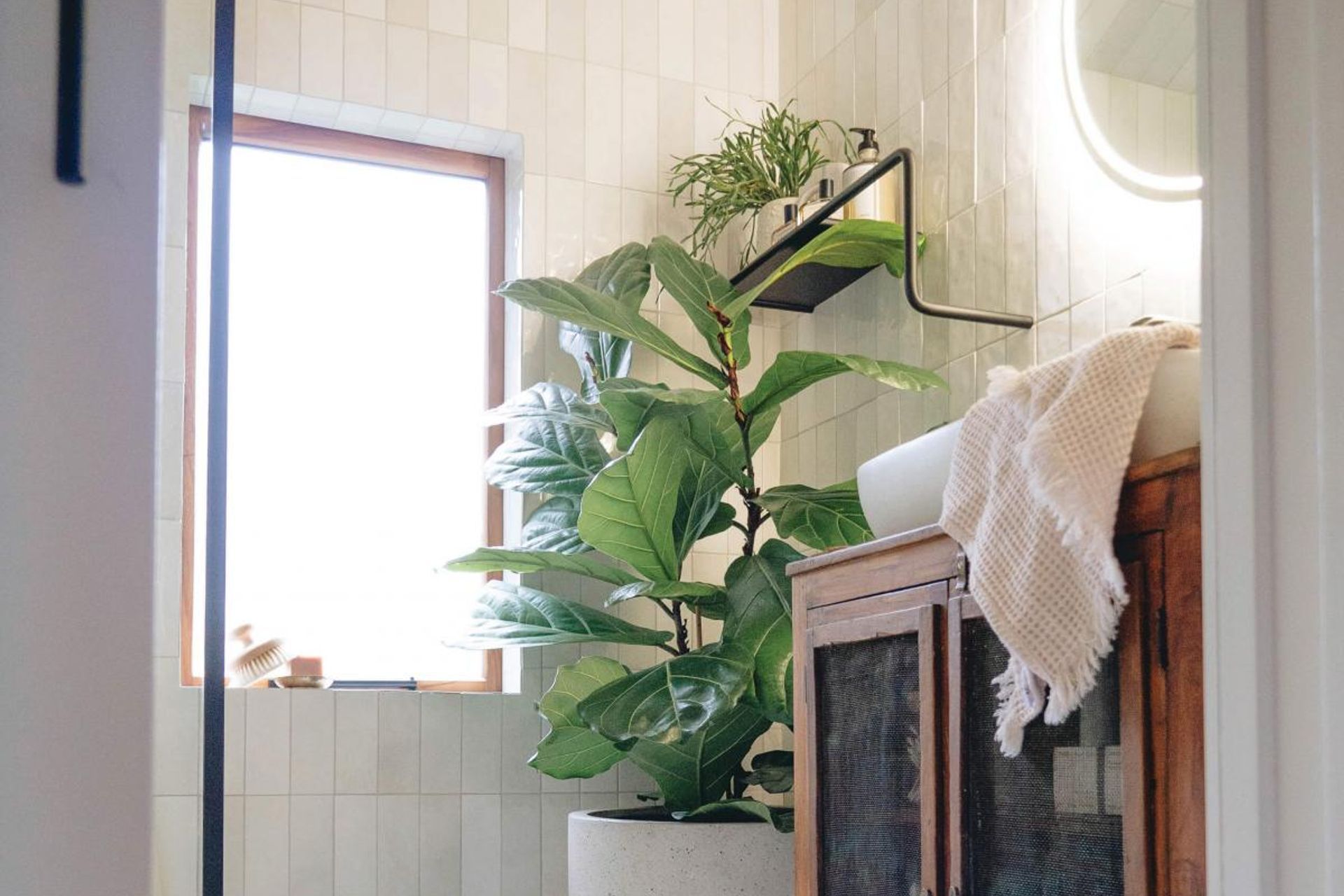 The Forest Cantina En-Suite Reveal