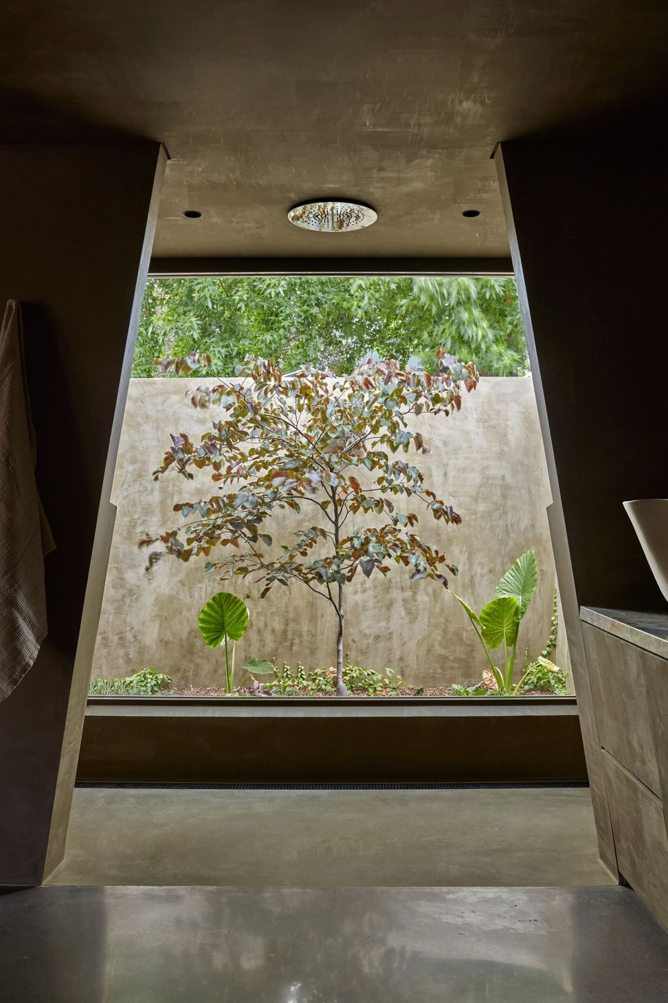 proc-house-06-1600x2400.jpg