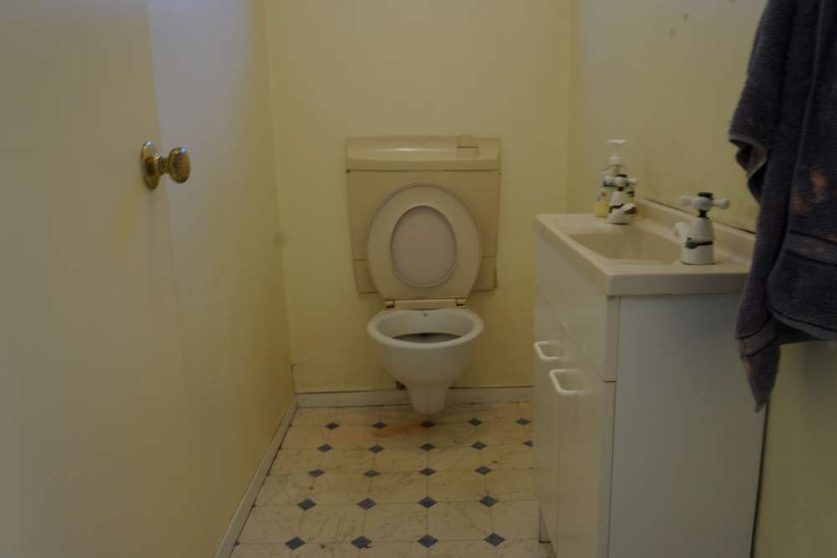 BEFORE the bathroom was renovated
