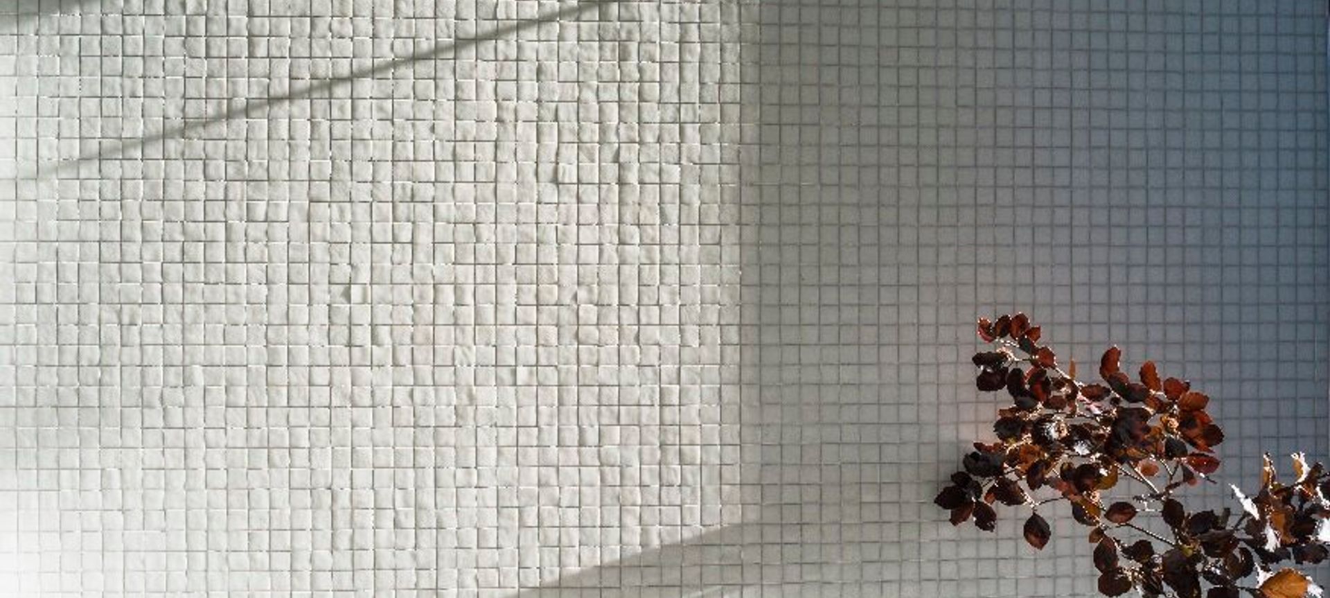 White on white - family bathroom renovation banner