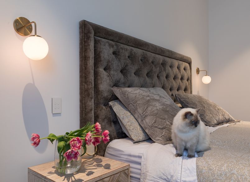 Georgina Street, Freemans Bay, Interiors