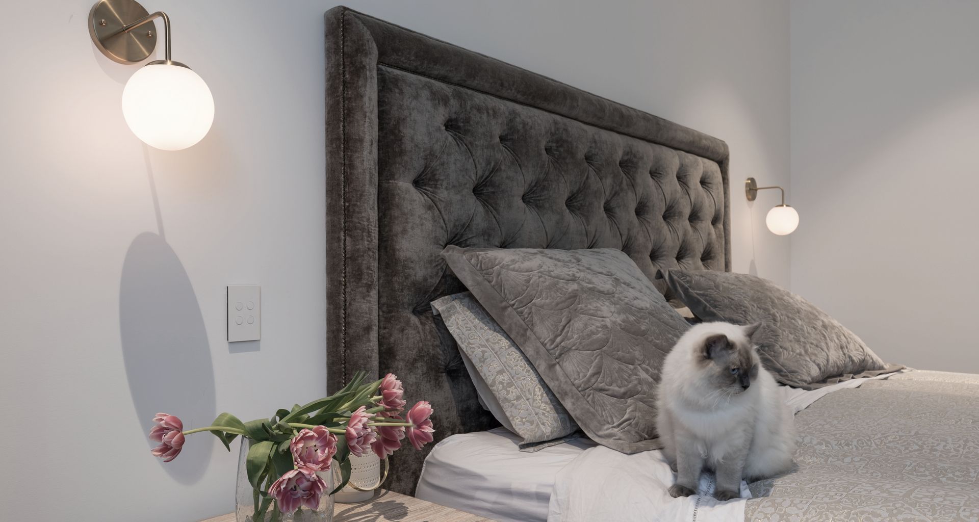 Georgina Street, Freemans Bay, Interiors banner
