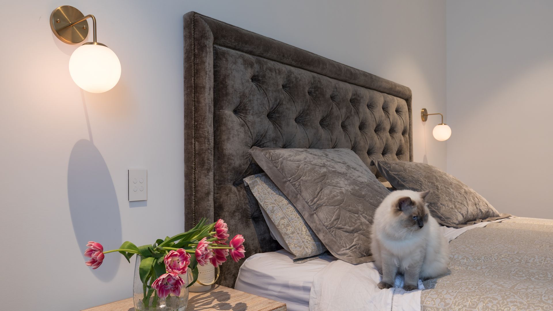 Georgina Street, Freemans Bay, Interiors banner