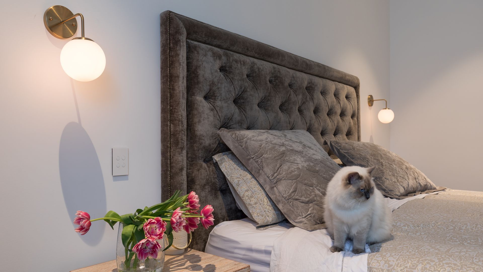 Georgina Street, Freemans Bay, Interiors banner