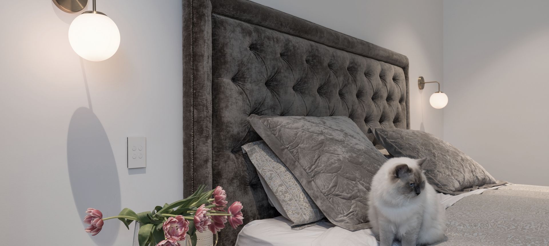 Georgina Street, Freemans Bay, Interiors banner