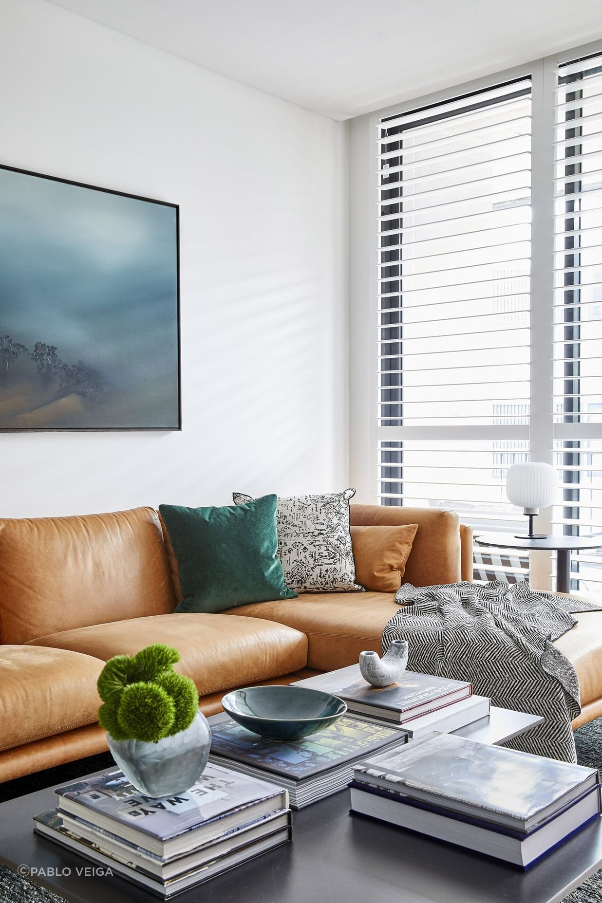 Bondi Apartment