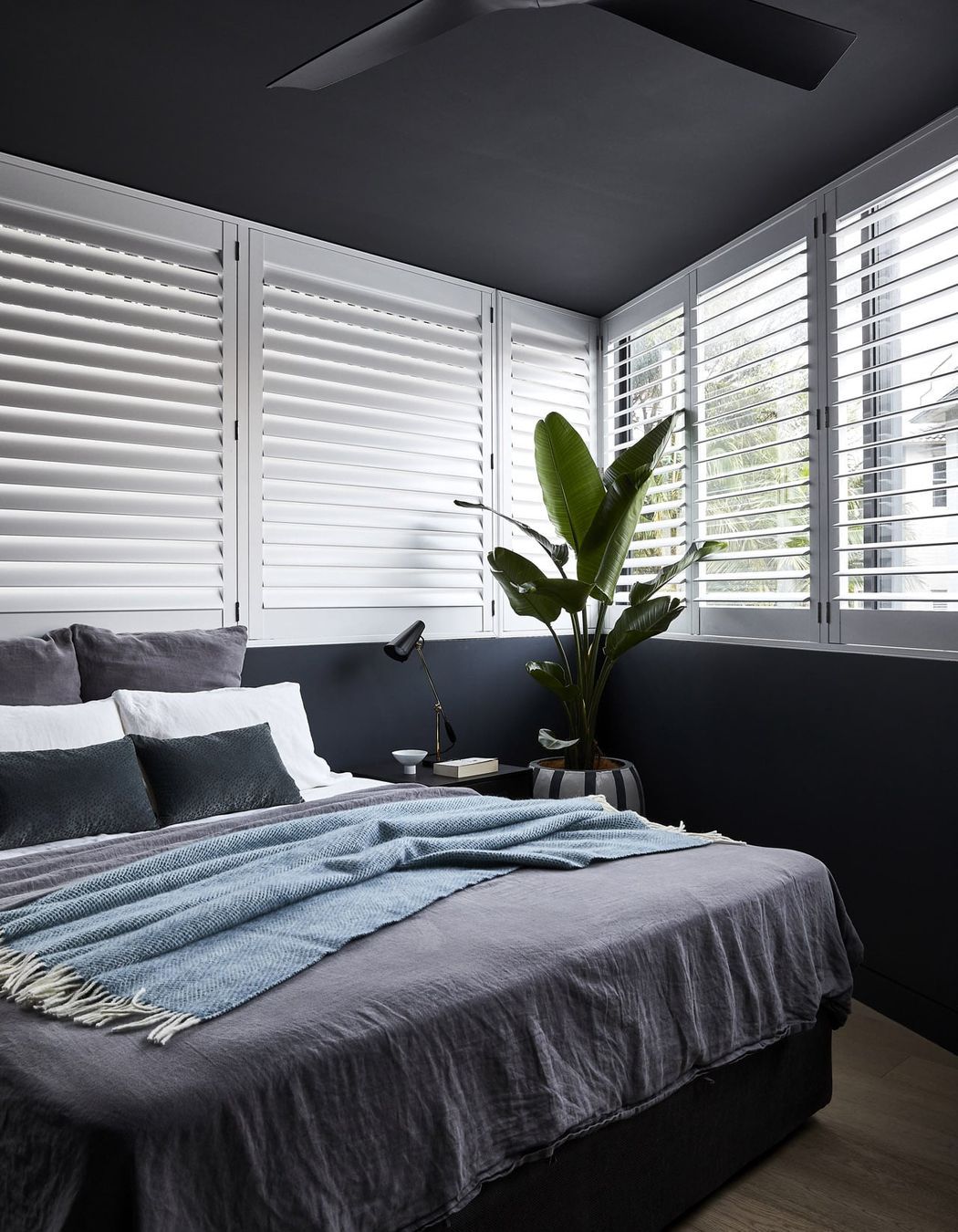 Bondi Apartment