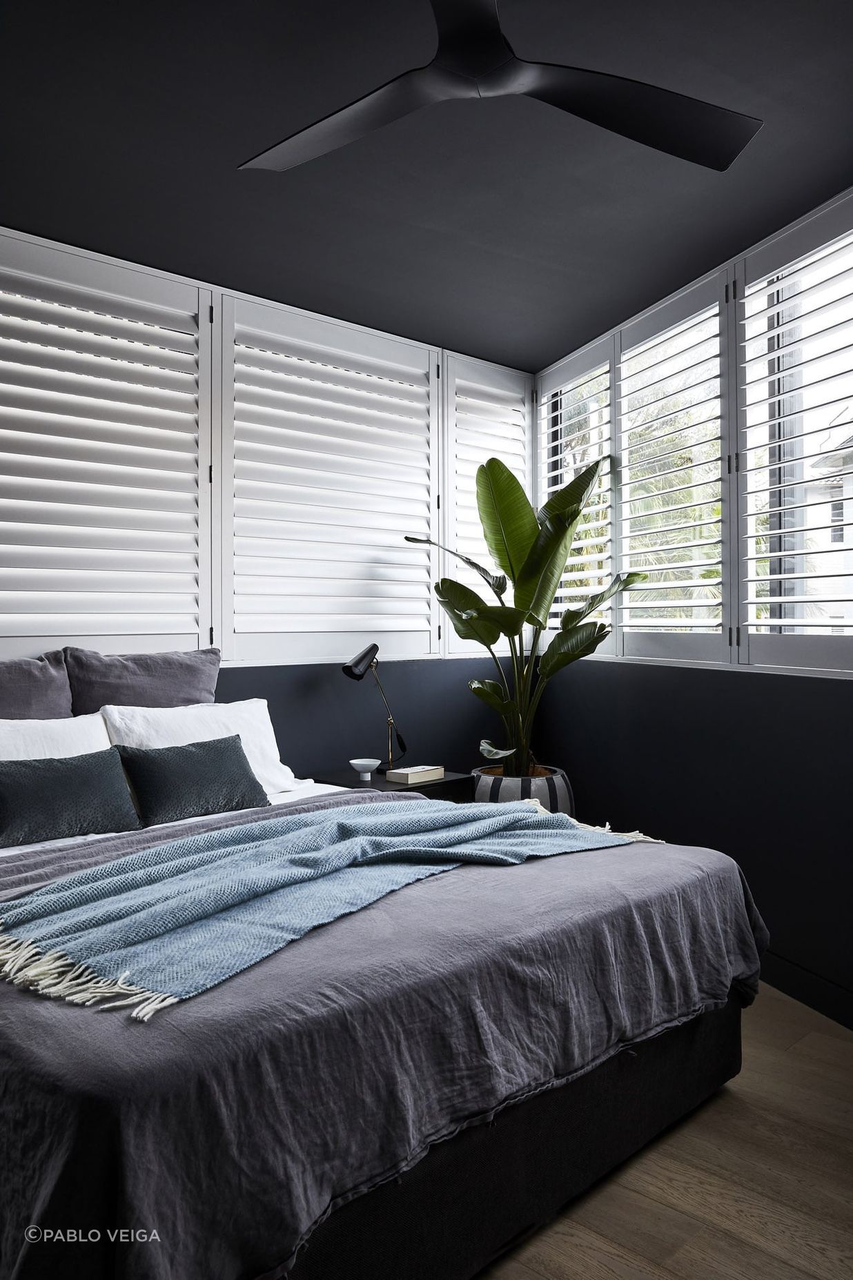 Bondi Apartment
