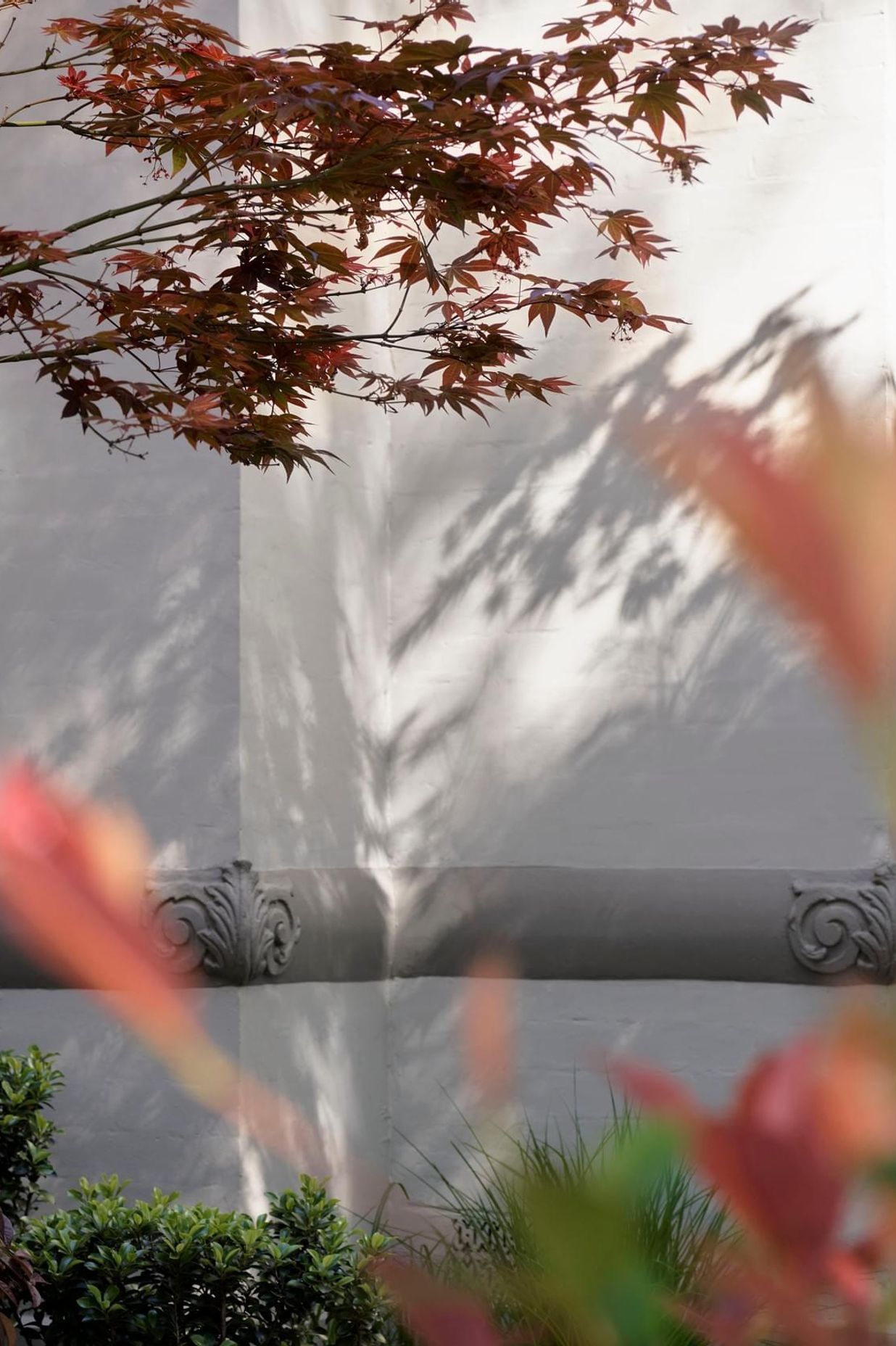 Hue House
