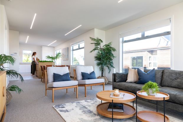Bright, open-plan contemporary living and dining area with a kitchen visible at the rear. The room features large windows, white walls, linear recessed ceiling lights, grey carpet, a grey sectional sofa, upholstered lounge chairs, timber-framed round coffee tables, indoor plants, and a dining table with timber chairs. The styling is light, relaxed, and modern.