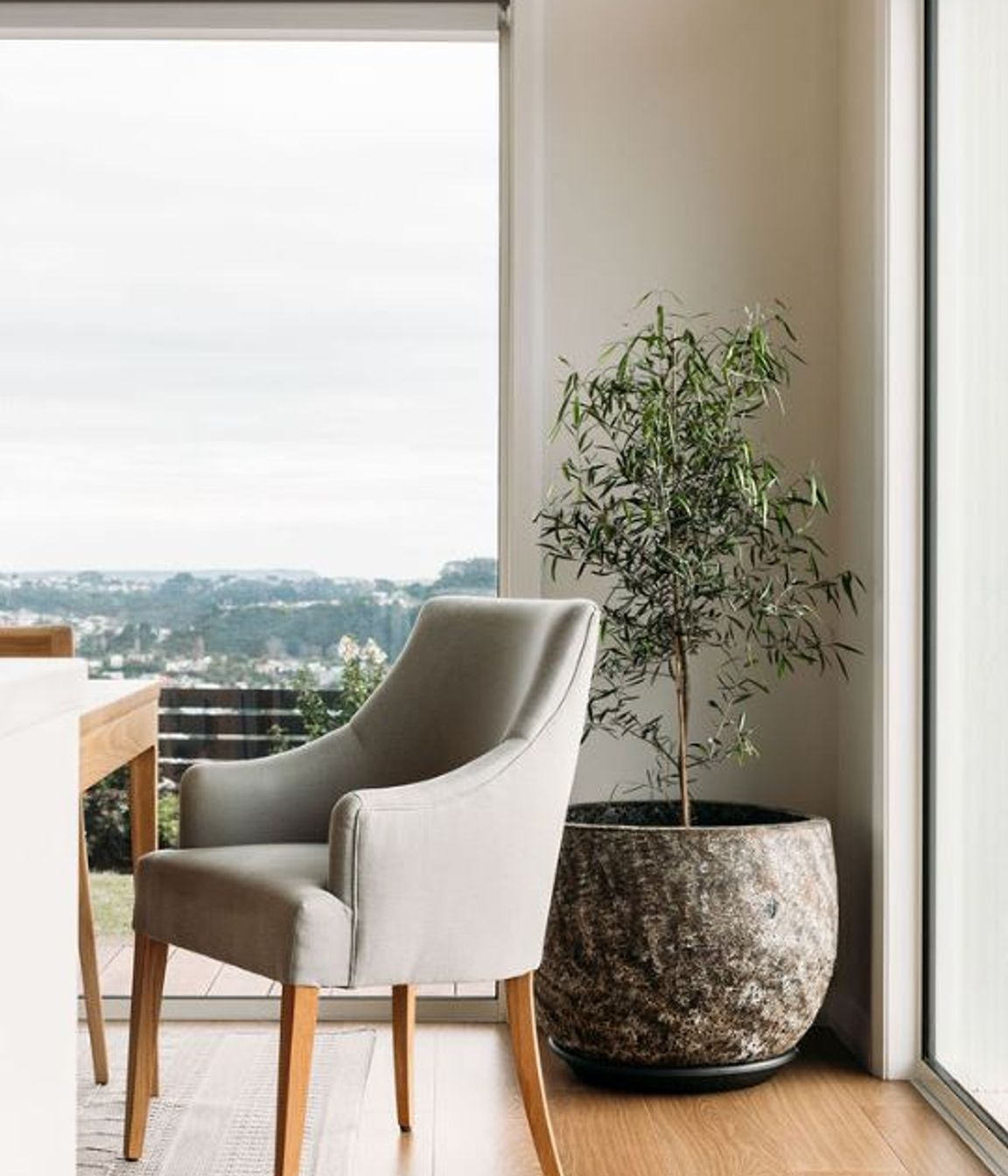 Whitby Curation &amp; Style, Wellington