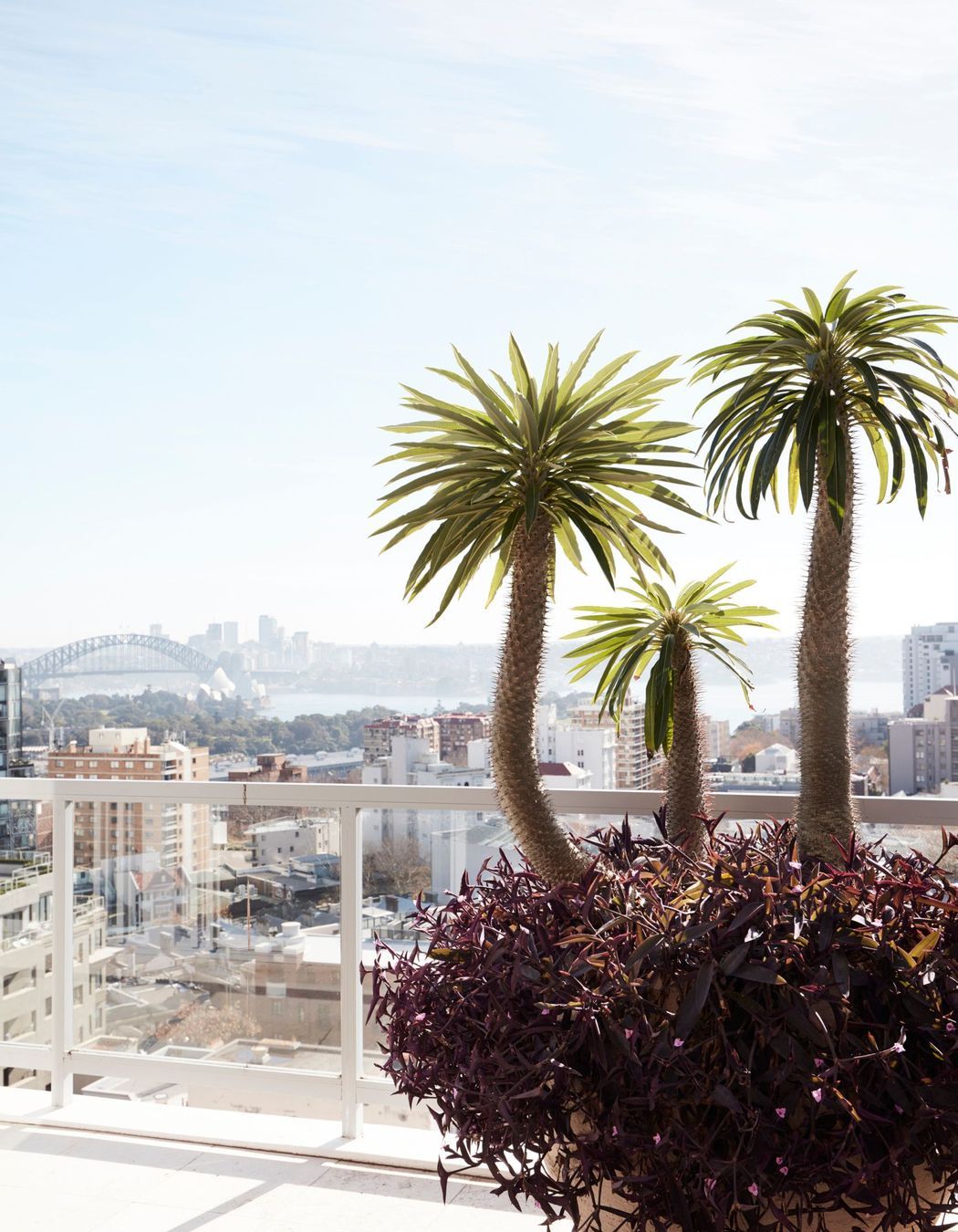 Photography by Prue Ruscoe