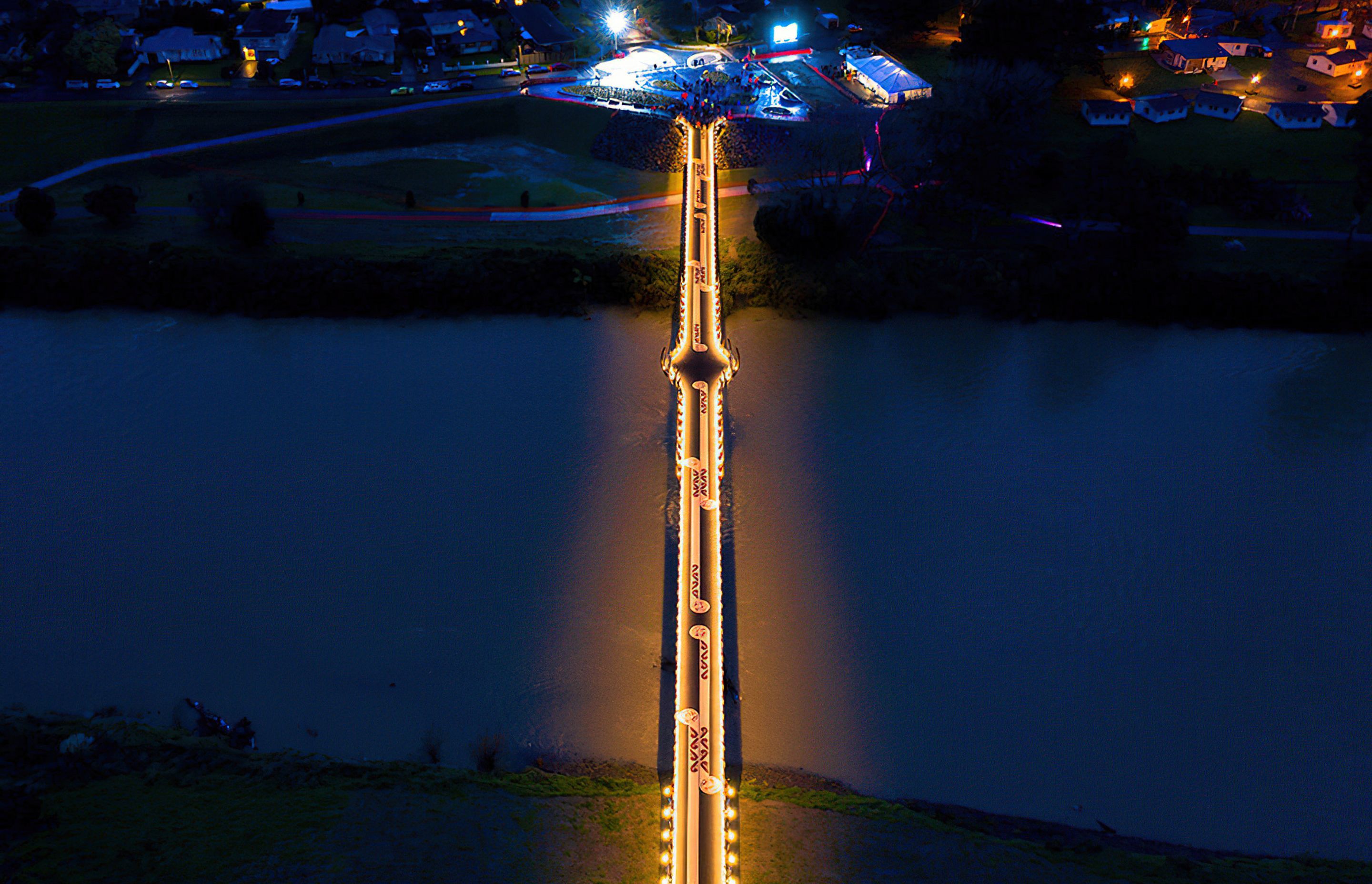 He Ara Kotahi Bridge