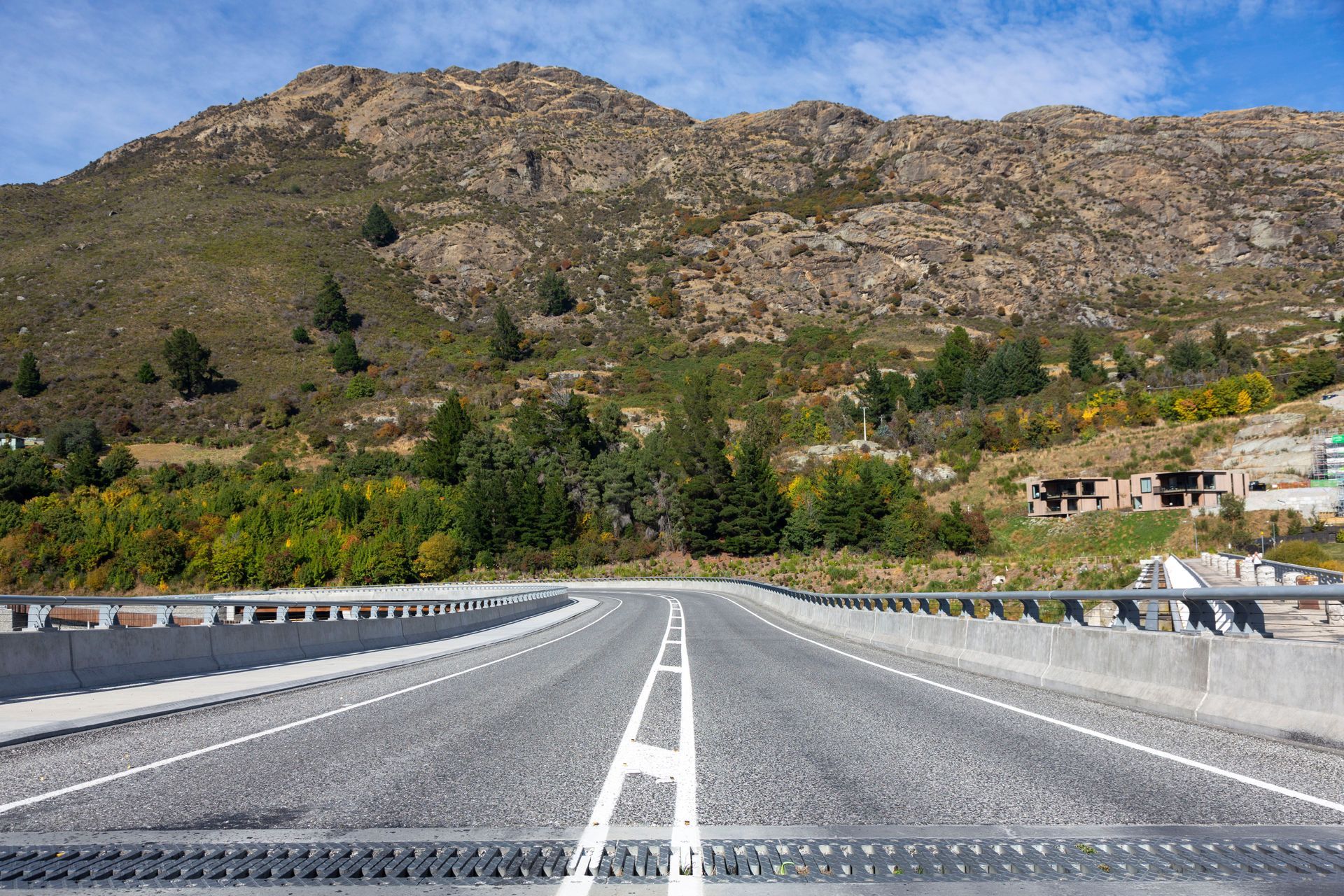 Kawarau Falls Bridge