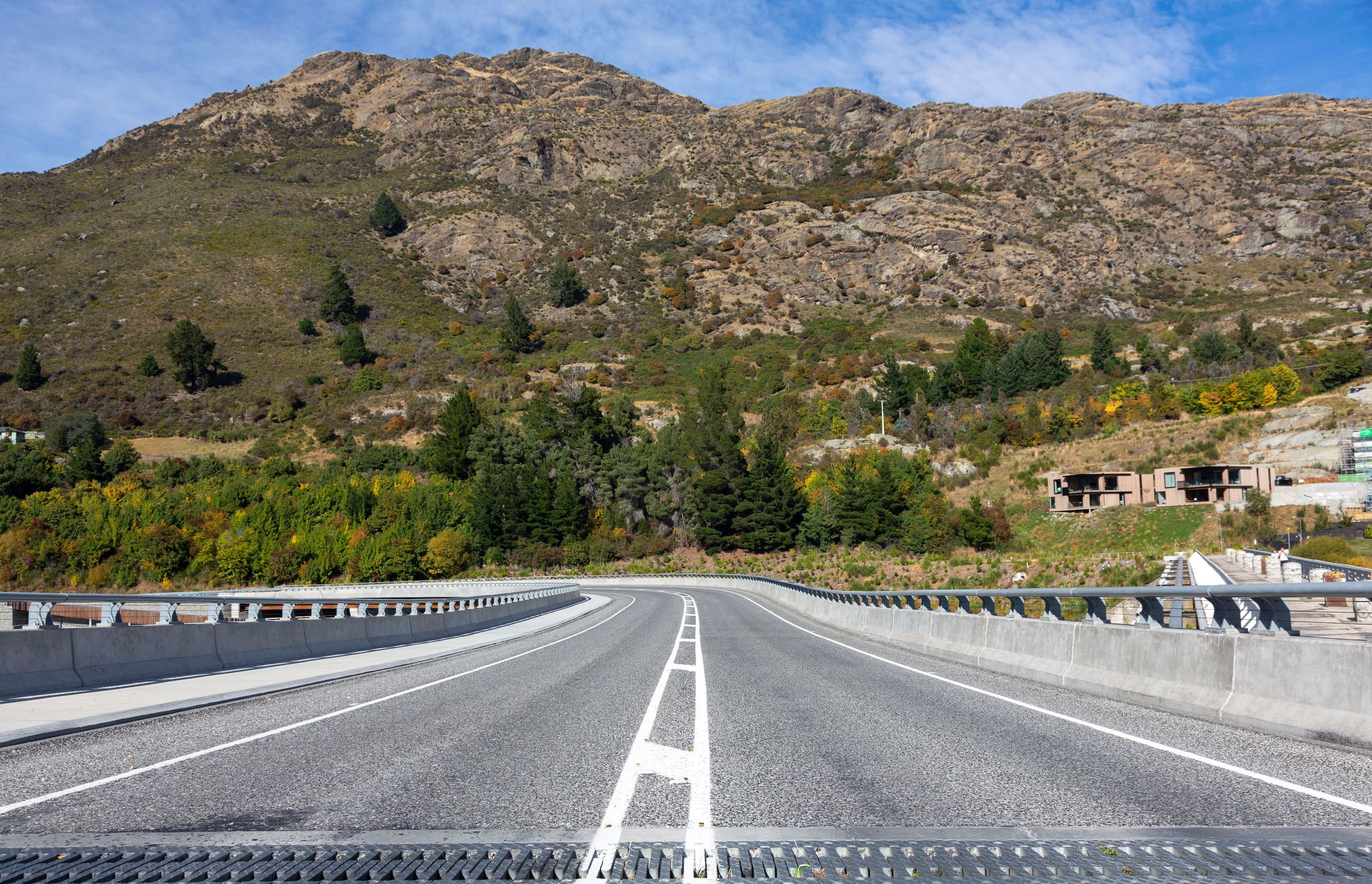 Kawarau Falls Bridge