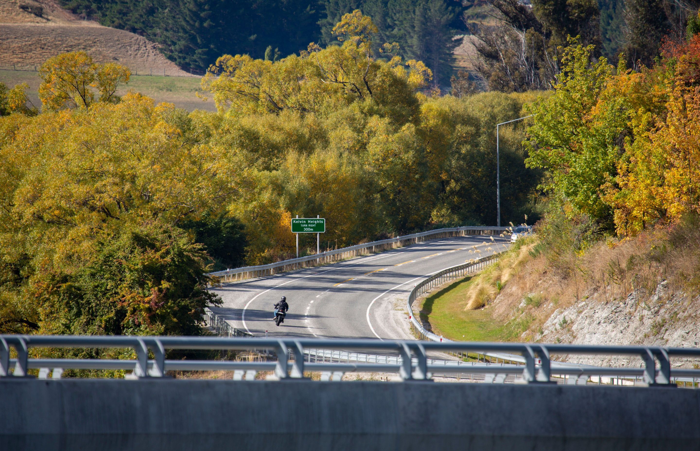 Kawarau Falls Bridge