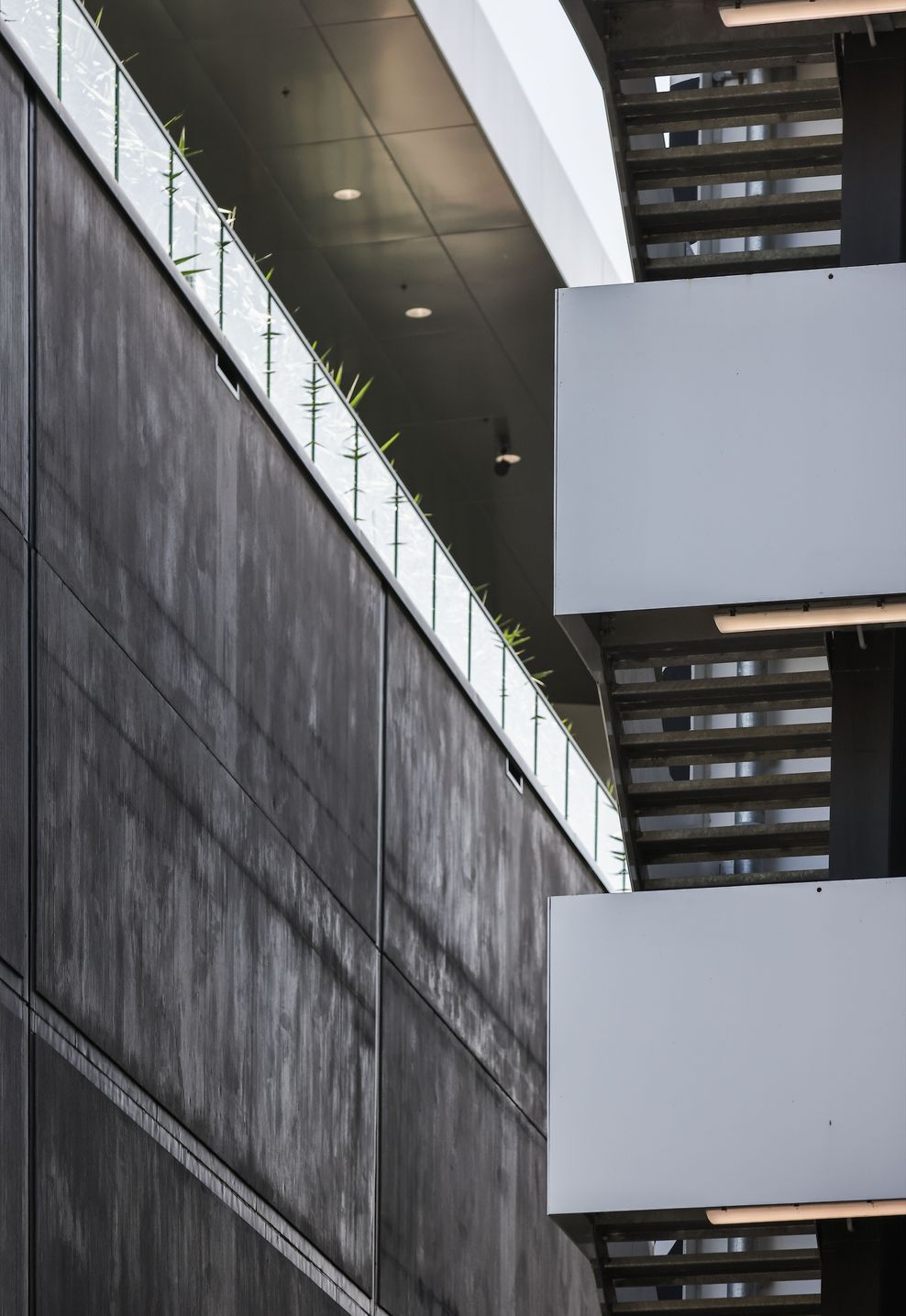 1S7A8338-ap-compressed.jpg