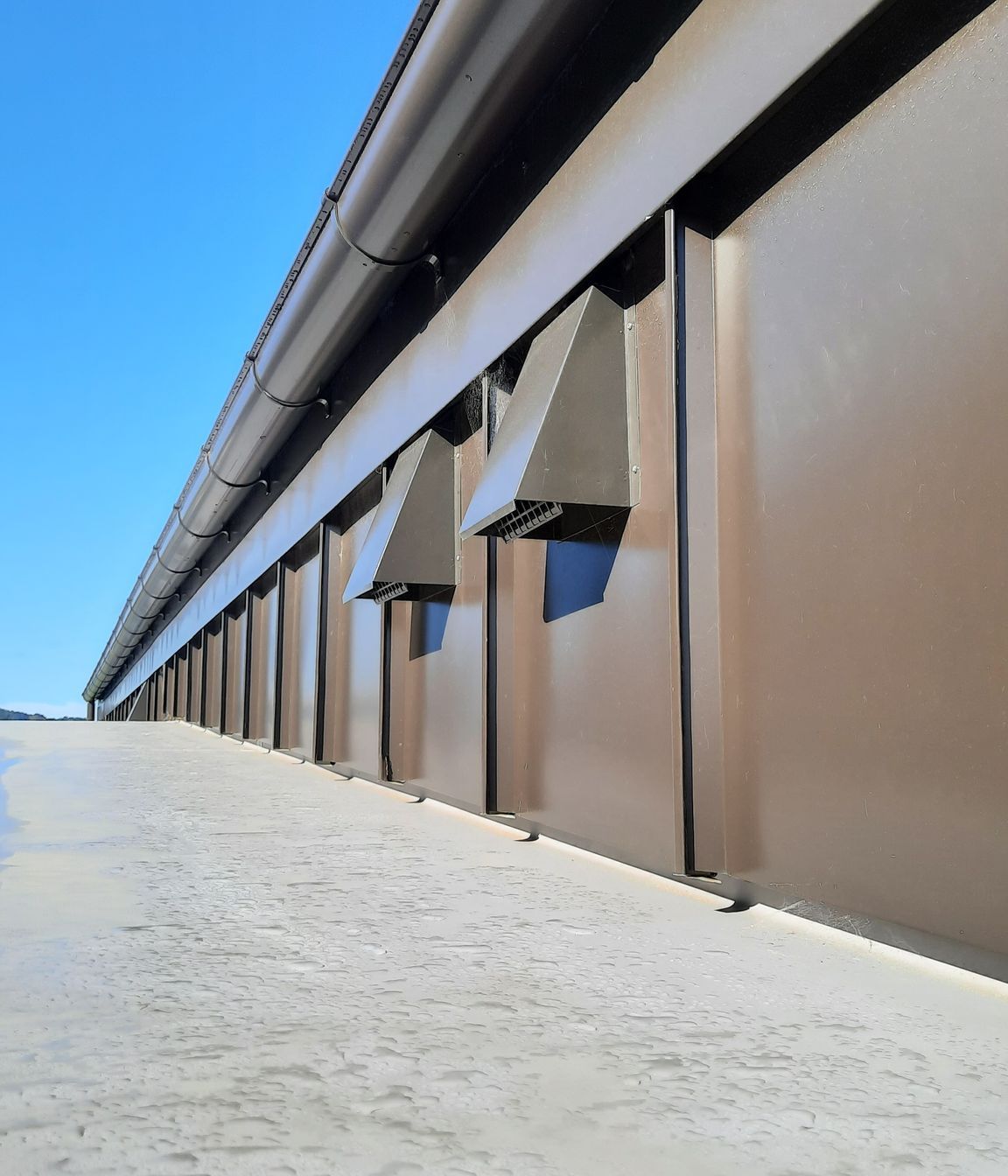 Looking at the detail of wall and flat roof area