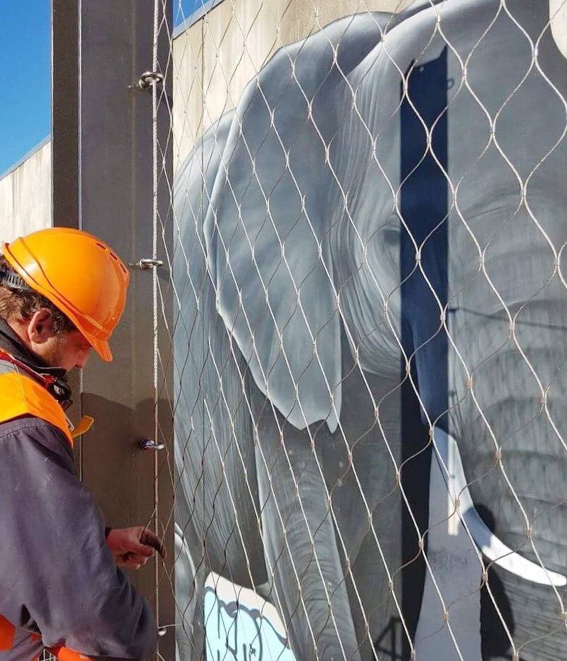 South Frame laneway catenary lighting and mesh-infilled walls - Christchurch CBD
