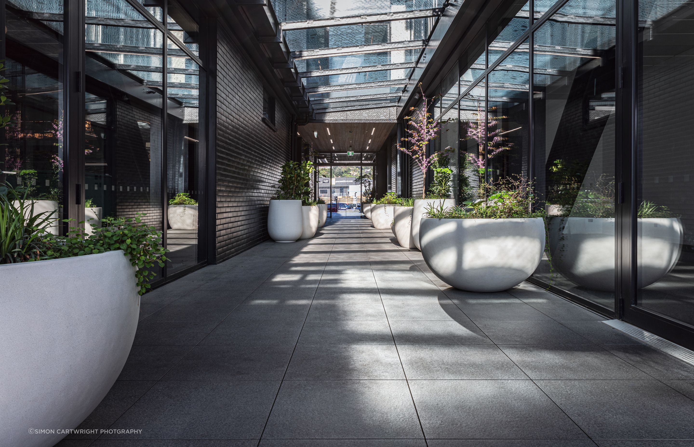 CP28018-Edit.jpg