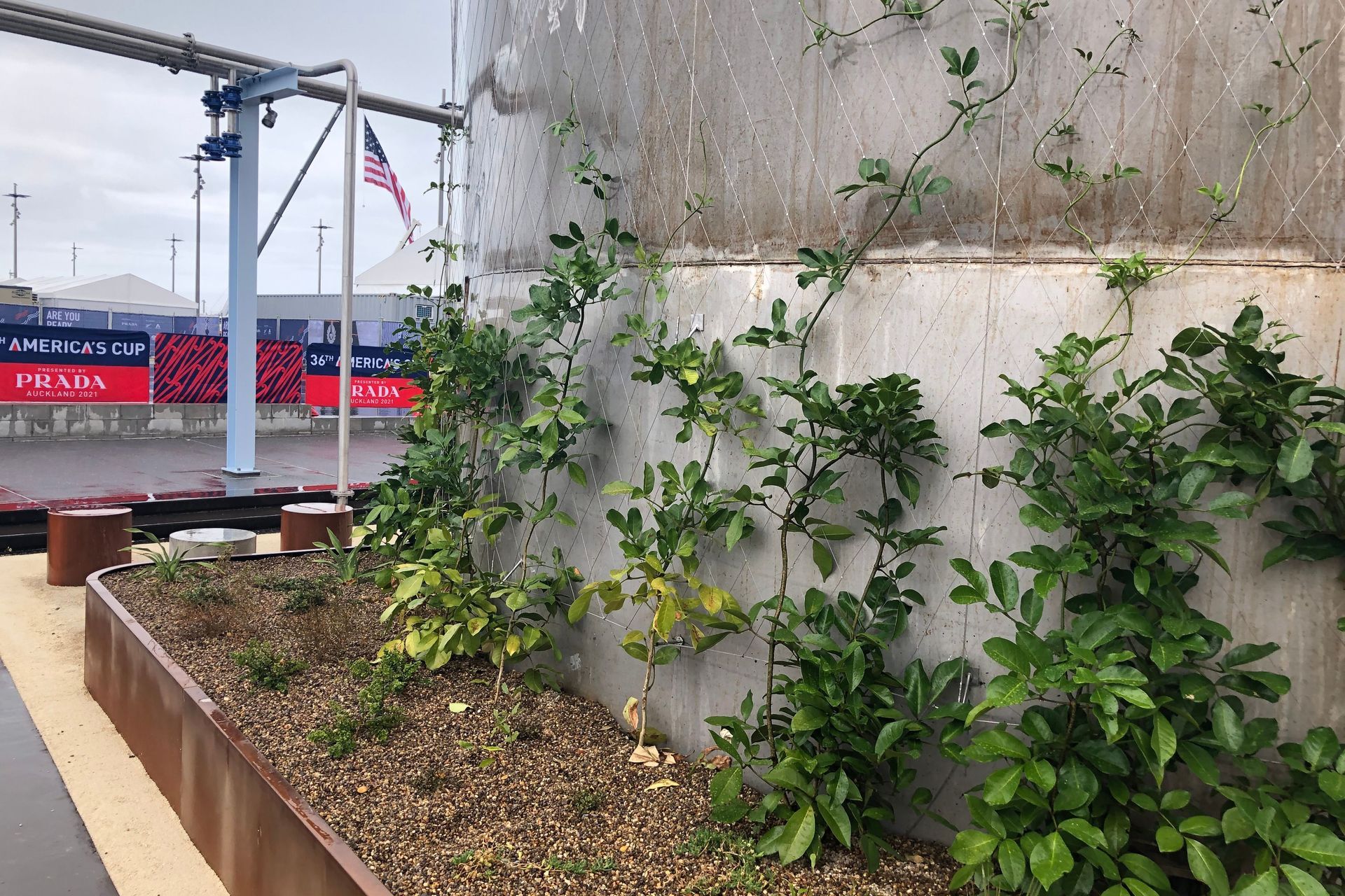 Auckland Silo Park - green facades