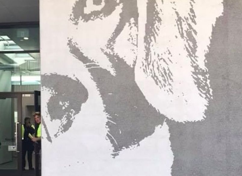 MPI Dog Kennels Auckland Airport