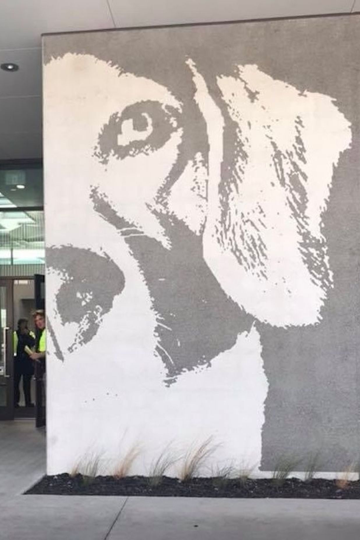 MPI Dog Kennels Auckland Airport by Warm NZ Central Heating ArchiPro NZ