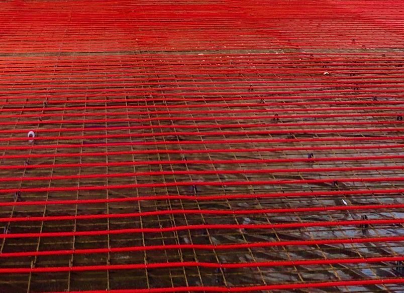 MPI Dog Kennels Auckland Airport